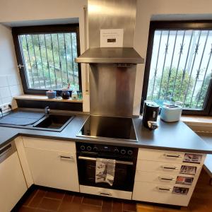 Zell am MainにあるGroßzügige Wohnung mit Terrasse Würzburg, Zellのキッチン(コンロ、シンク付)、窓2つが備わります。