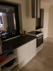 Kuchyň nebo kuchyňský kout v ubytování Rom # 2 Appartmenthotell Oslo Adress Isabels vei 16 + 10 fotografií