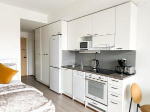 Kuchyň nebo kuchyňský kout v ubytování Aurora Central Suite II