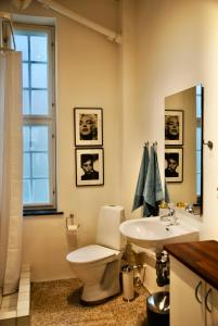 La salle de bains est pourvue de toilettes et d'un lavabo. dans l'établissement Aparthotel Mageløs 12, à Odense
