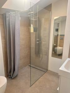 a glass shower in a bathroom with a toilet at Les Cerises du Pont du Gard in Remoulins