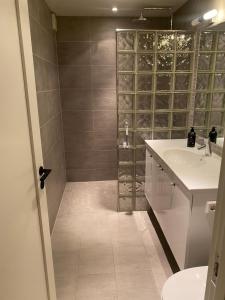 a bathroom with a shower and a sink and a toilet at Rom # 3 Appartmenthotel Oslo Adress Isabels vei 16 in Oslo
