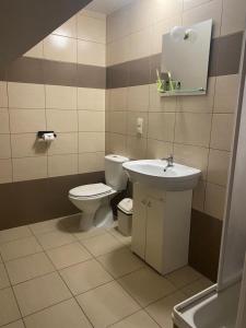 a bathroom with a toilet and a sink at Hotel Kos in Kosobudz