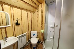a small bathroom with a toilet and a sink at "Карпати" in Yablunytsya +57 photos