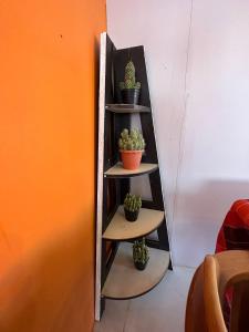 a shelf with potted plants on it next to a wall at Heaven Guesthouse in Pakse