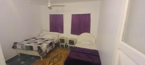 Gallery image of Sengr Tod in Aswan