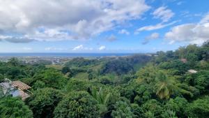 a view of a jungle with the ocean in the background at Villa Des Remparts in Sainte-Marie