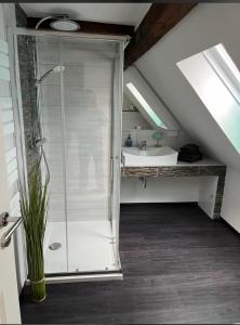 a bathroom with a shower and a sink at Ferienwohnung Am Graben in Hasselfelde