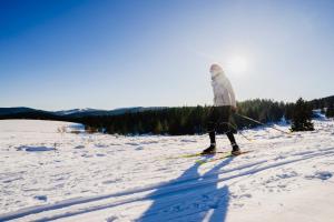 una persona è sugli sci nella neve di Grüner Baum Naturparkhotel & Schwarzwald-Restaurant a Todtnau