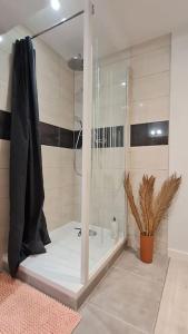 a shower with a glass door in a bathroom at L'échappée Belle in Vienne