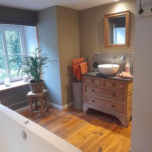 ein Badezimmer mit einem Waschbecken und einer Theke mit einem Spiegel in der Unterkunft Le repaire des amoureux in La-Roche-en-Ardenne
