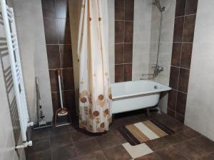 y baño con bañera y cortina de ducha. en Mashtots B&B, en Vanadzor