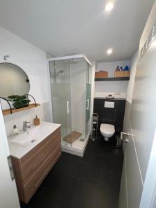 a bathroom with a shower and a sink and a toilet at DEA Ferienwohnung in Korb