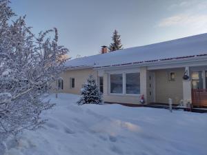 Villa Snowflake v zimě