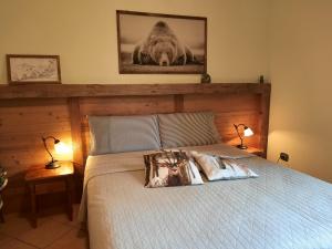 ein Bett mit zwei Kissen darauf in einem Schlafzimmer in der Unterkunft B&B Il Grappolo in Bianzone