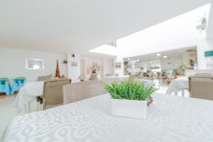 Posezení v ubytování HOTEL VERANO