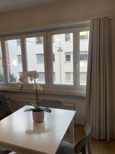 een tafel met een plant erop in een kamer met ramen bij Schweiz (302) in Bazel