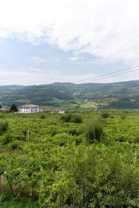 Paesaggio naturale nelle vicinanze dell'affittacamere