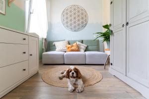 Ospiti di Amagi Home con animali domestici