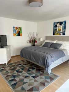 1 dormitorio con 1 cama, TV y alfombra en Schweiz (303), en Basilea