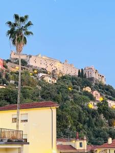 a mountain with a palm tree and buildings on it at Appartamento Centro storico - Massa in Massa