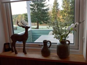 Foto sihtkohas Hagfors asuva majutusasutuse Fritidshus Hammare Hagfors galeriist