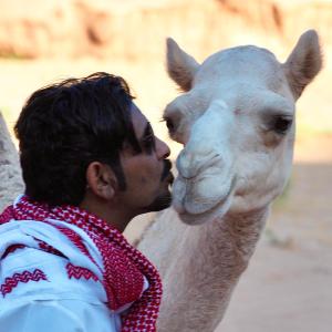 Wadi Rum experience