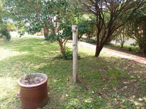 un poteau avec une plante en pot dans un jardin dans l'établissement Casa Costa Azul - La Paloma - Rocha - Uruguay, à Costa Azul