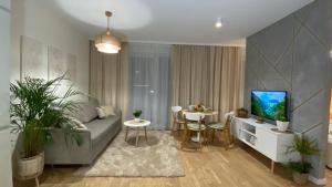 Μια τηλεόραση ή/και κέντρο ψυχαγωγίας στο Green Park Apartament