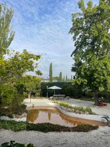 een vijver in het midden van een park met bomen bij Preciosa habitación en suite in Algete
