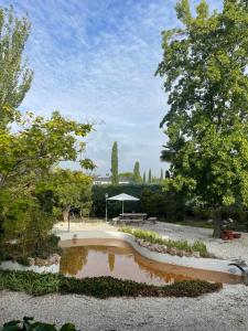 a pond in the middle of a park with trees at Preciosa habitación en suite in Algete
