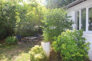 un jardín con mesa, sillas y una planta en Au Tour Des Bois, en Le Vésinet