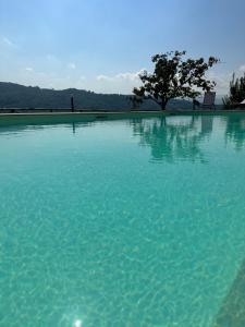 una gran piscina de agua azul con un árbol en el fondo en Villa Le Torrette, en Agropoli