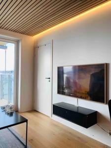 TV i/ili zabavni centar u objektu Lovely and exclusive northern lights apartment with excellent view.