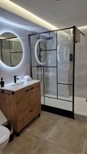 a bathroom with a shower and a sink and a mirror at Underground SINTRA experiencia in Almansa
