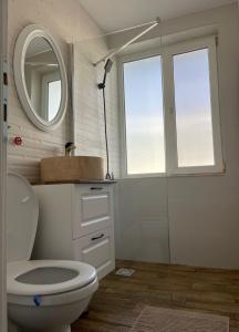 a bathroom with a toilet and a mirror at Carol Apartament's in Timişoara