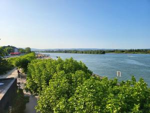 een uitzicht op de rivier vanaf een brug bij Privatzimmer an der Universitätsklinik Mainz. Sehr zentral in Mainz
