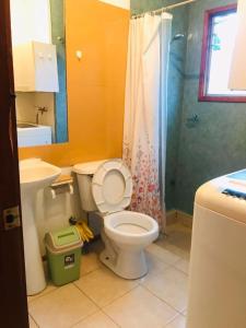 a bathroom with a toilet and a sink and a shower at Cabaña Agradable in Pucón