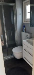 een badkamer met een douche, een toilet en een wastafel bij Chalet Wad Mooi in Buren