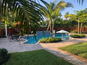 a swimming pool with a bench and palm trees at Billy's Resort-Clothing Optional- Men Only - Solo Hombres in Wilton Manors