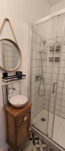 uma casa de banho com um lavatório e um chuveiro com um espelho. em Appartement studio em Condom