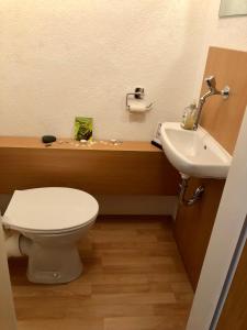 La salle de bains est pourvue de toilettes et d'un lavabo. dans l'établissement 2-Zimmer Apartment, à Sinsheim