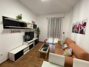 uma sala de estar com um sofá e uma televisão em APARTAMENTO LA MAGDALENA em Córdoba
