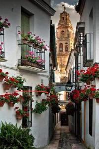 um beco com vasos de flores e um edifício com uma torre de relógio em APARTAMENTO LA MAGDALENA em Córdoba