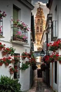 eine Gasse mit Blumentopfen und ein Gebäude mit einem Uhrturm in der Unterkunft APARTAMENTO LA MAGDALENA in Córdoba