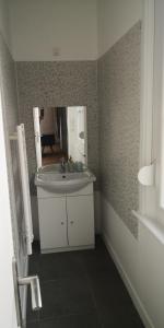 a bathroom with a sink and a mirror at Le voyageur - T2 hyper centre in Abbeville