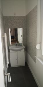 La salle de bains est pourvue d'un lavabo et d'un miroir. dans l'établissement Le voyageur - T2 hyper centre, à Abbeville