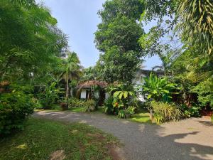 Vườn quanh Hill Side Kings Villa (Colonial Bungalow)