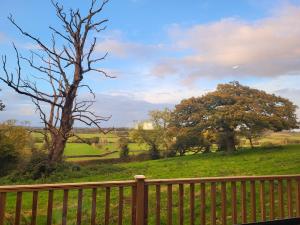 a wooden fence in front of a field with a tree at Shylo - Down At The Dales in Barry
