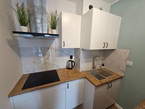 een keuken met witte kasten en een spoelbak bij MICHALCZYKA APARTAMENT in Wrocław